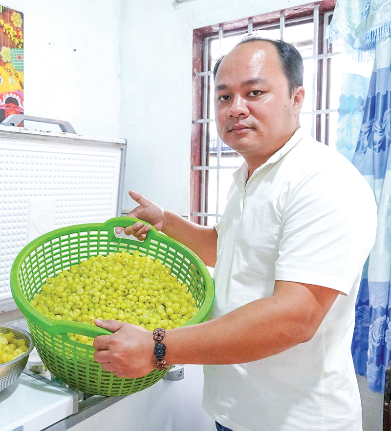 Thu tiền tỉ mỗi năm nhờ chế biến cà na tách hạt