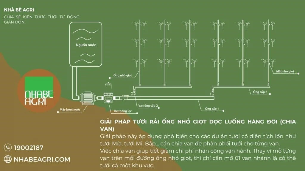 Vai trò ống tưới nhỏ giọt trong hệ thống tưới nhỏ giọt mang lại