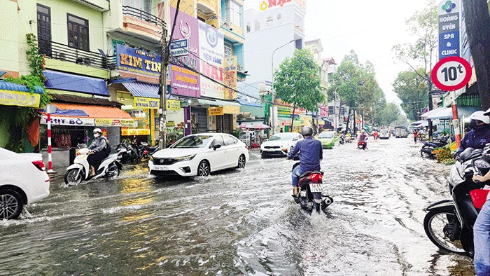 Phòng, chống thiên tai trong mùa mưa, bão, không lơ là chủ quan