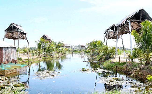 ប្រសិទ្ធភាពសេដ្ឋកិច្ចផ្ដើមពីទម្រង់ចិញ្ចឹមសត្វប្រចៀវយកលាមក