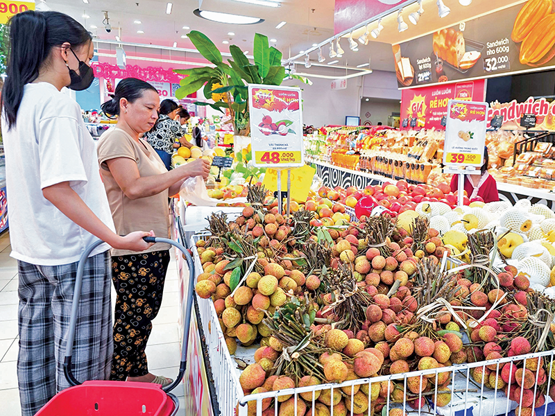 Nguồn cung dồi dào, giá nhiều loại trái cây giảm mạnh