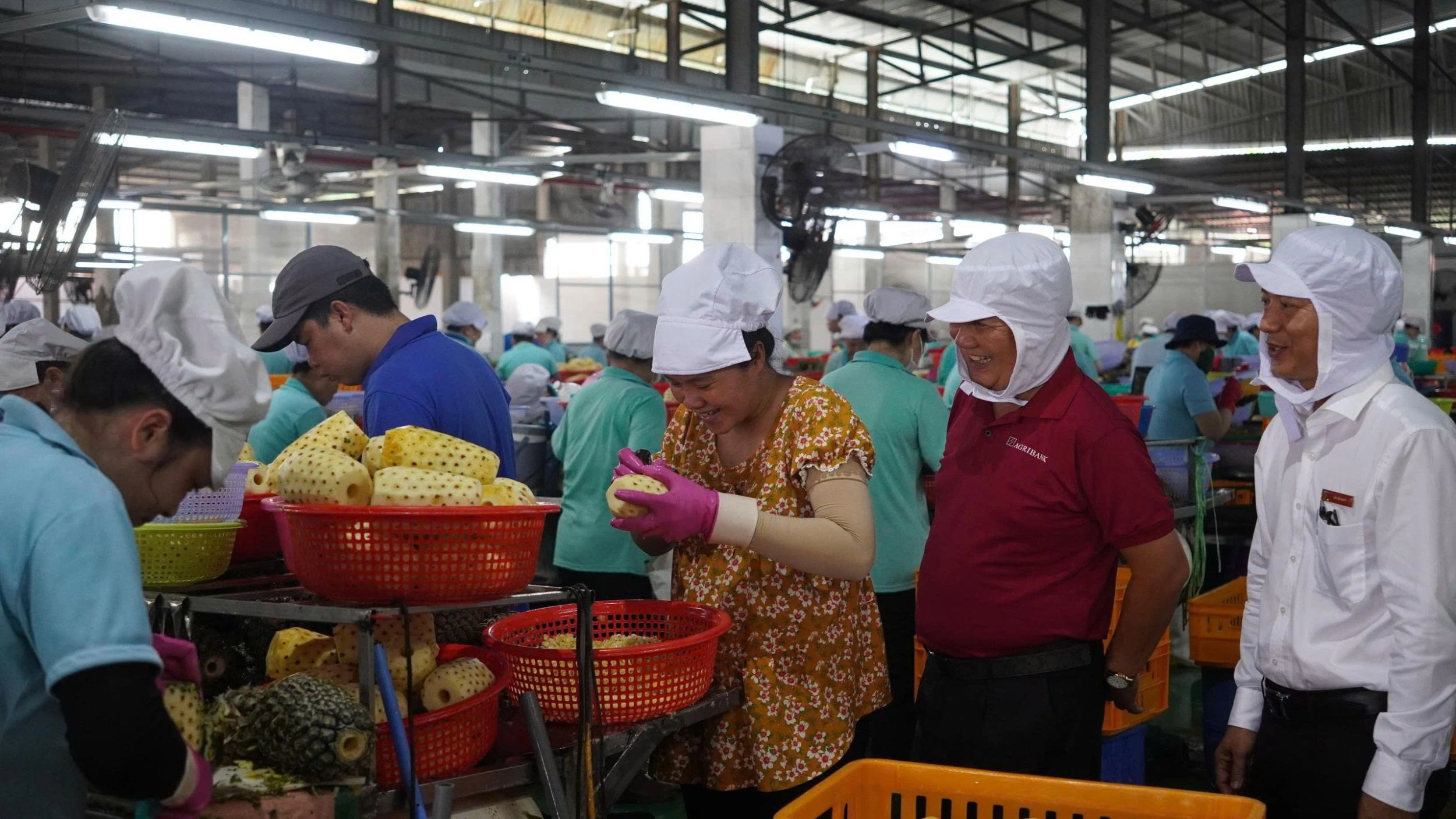Agribank Chi nhánh tỉnh Vĩnh Long đồng hành cùng ngành Nông sản xuất khẩu