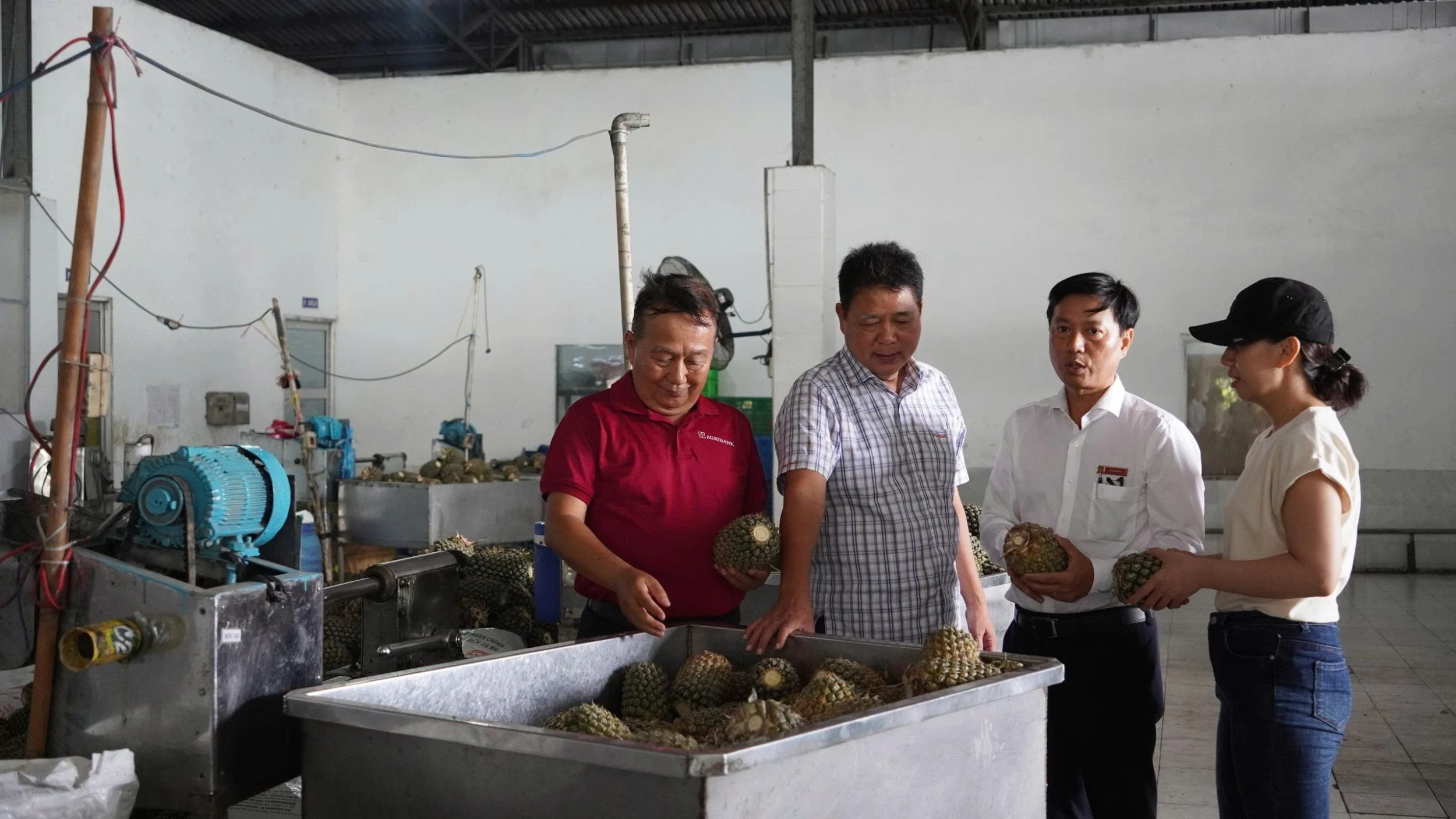 Agribank Chi nhánh tỉnh Vĩnh Long đồng hành cùng ngành Nông sản xuất khẩu