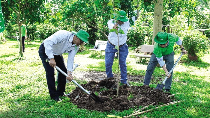Hưởng ứng phong trào trồng cây xanh