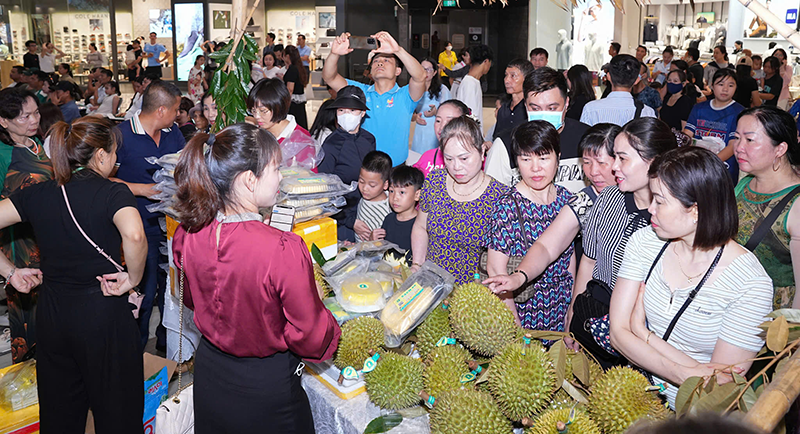 Kết nối tiêu thụ nông sản giữa TP Cần Thơ - TP Hải Phòng