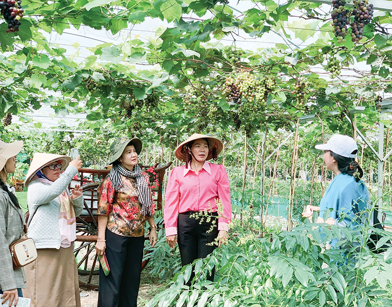 Mở rộng không gian, thúc đẩy du lịch địa phương phát triển