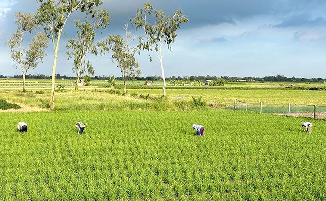 សេចក្តីរីករាយពីកម្មវិធី