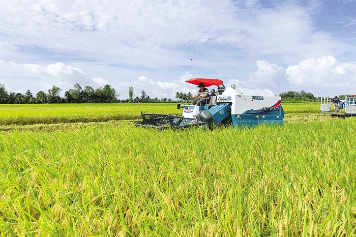 Về chung một nhà