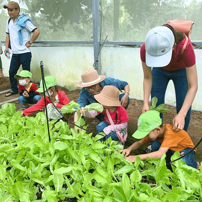 Cần Thơ phát huy giá trị du lịch sinh thái trong không gian mới