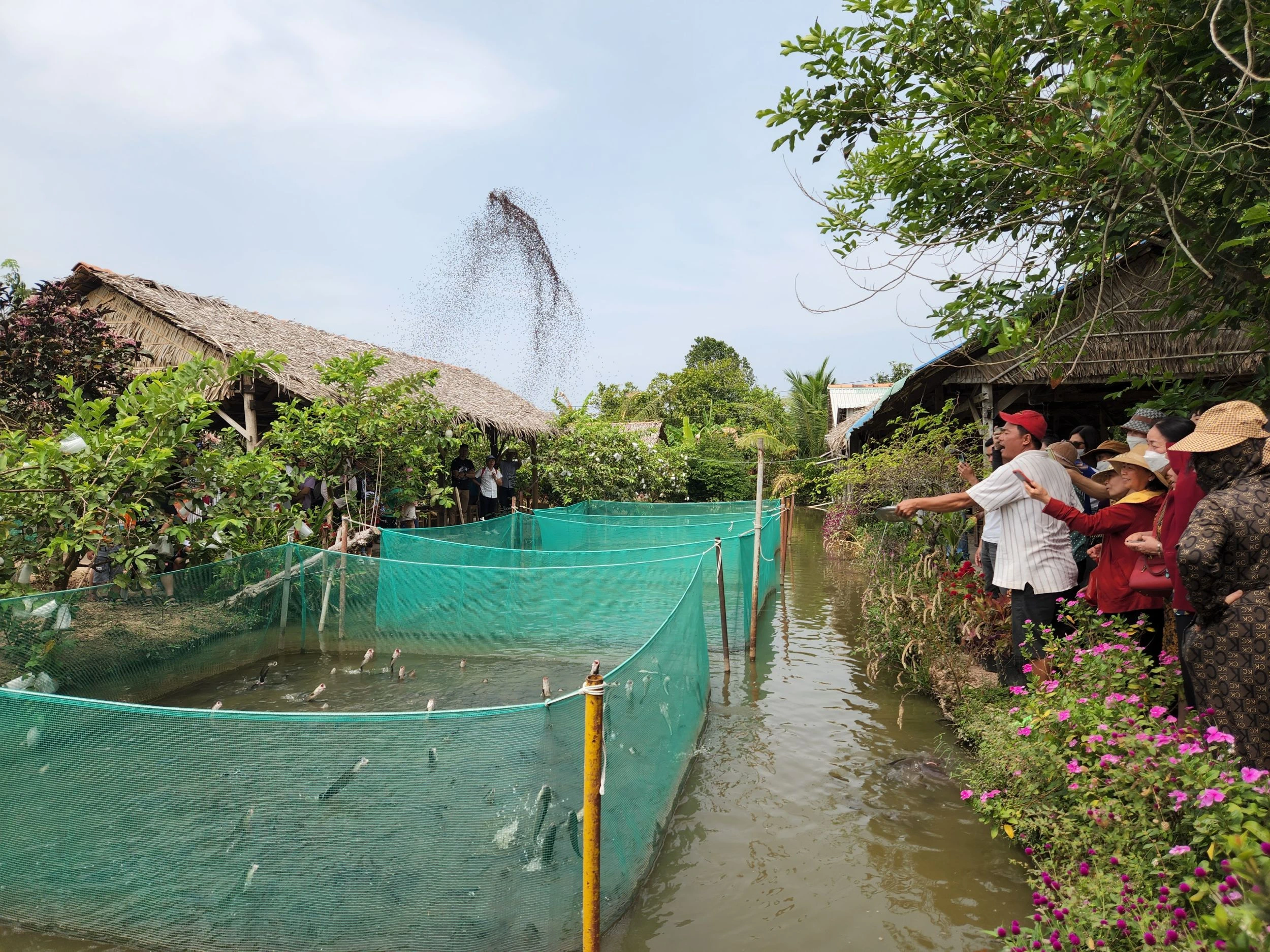 Phát triển, định vị thương hiệu sản phẩm nông nghiệp, dịch vụ nông thôn