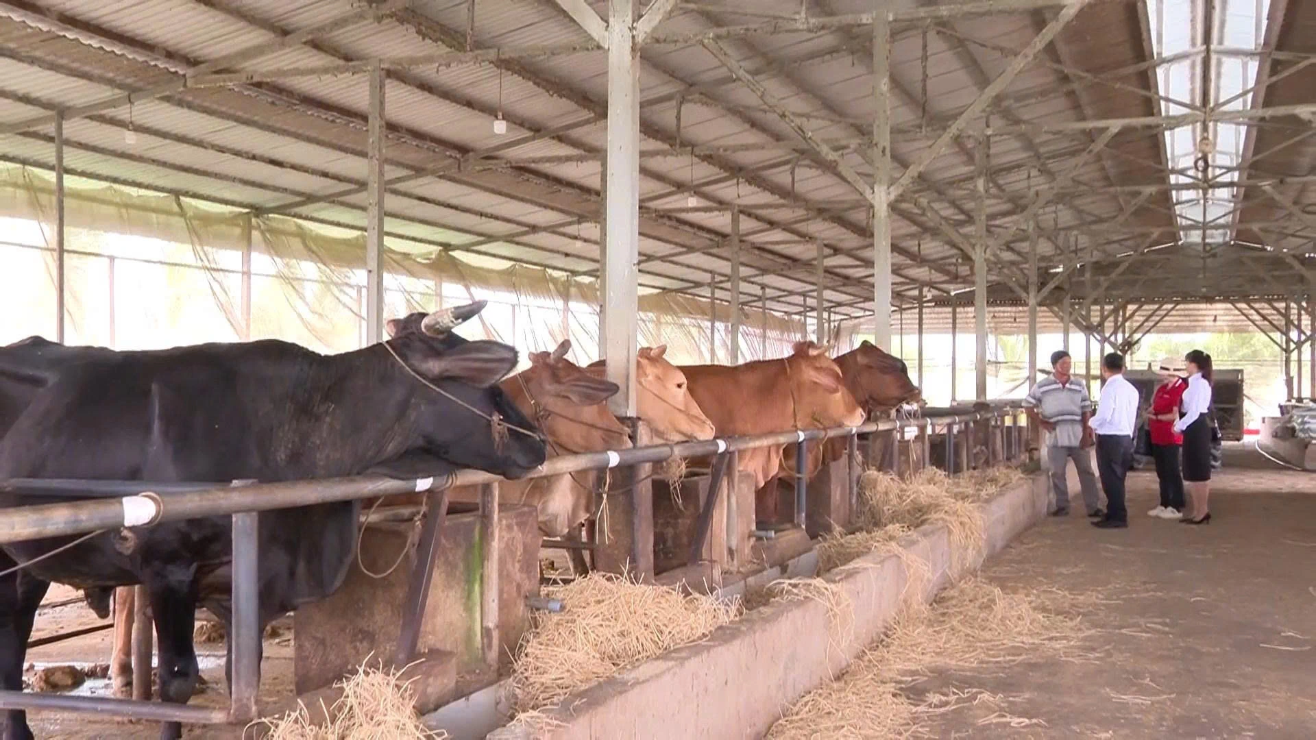 Agribank Chi nhánh Bắc Long An (Tây Ninh): <br>Đồng hành phát triển kinh tế vùng biên giới