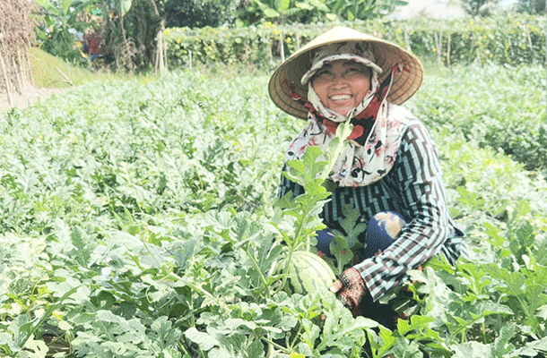 តំបន់ជនបទឈោងឈានឡើង