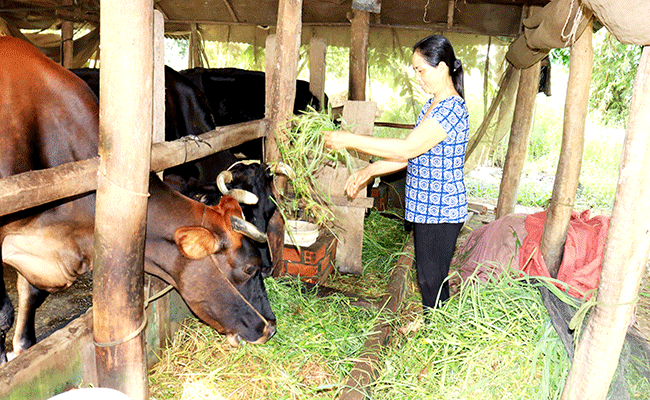ឧបត្ថម្ភដើមទុនជួយសមាជិកនារីអភិវឌ្ឍសេដ្ឋកិច្ច