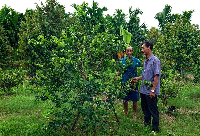 Bí thư chi bộ ấp tận tụy phục vụ nhân dân