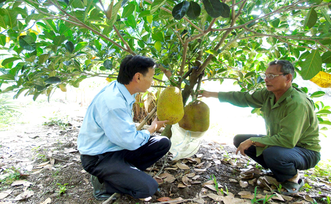 យុទ្ធជនពិការ ឡេមិញដួង អ្នករក្សាស្មារតីបដិវត្តន៍នៅស្រុកកំណើតហូដាក់កៀង