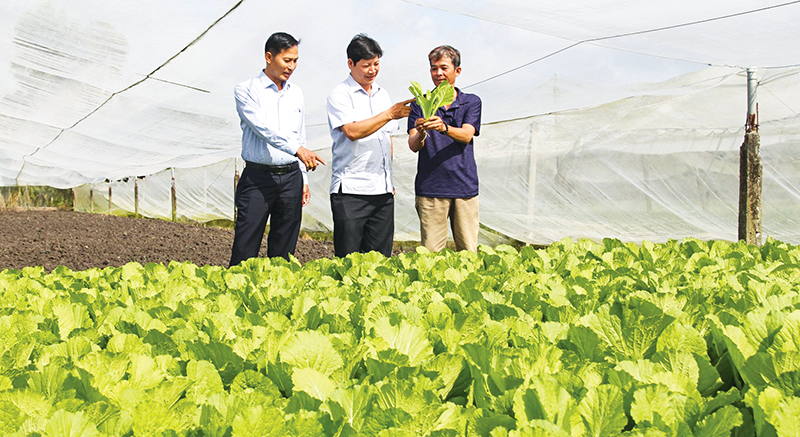 Hợp lực nâng chất chuỗi giá trị nông sản