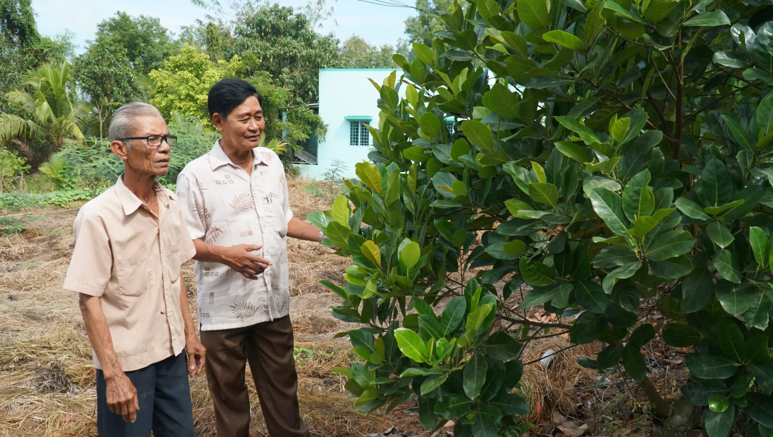 Cờ Đỏ mùa Thu này...