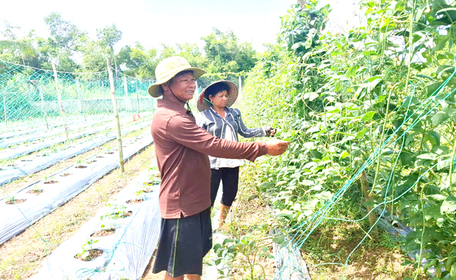 ប្រសិទ្ធភាពផ្តើមពីមូលនិធិជំនួយកសិករ