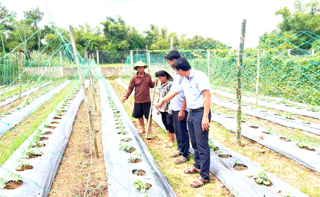 ប្រសិទ្ធភាពផ្តើមពីមូលនិធិជំនួយកសិករ