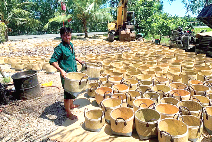 Giữ nghề đan cỏ bàng ở An Giang