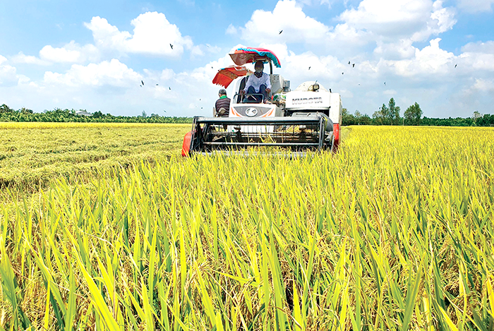 Chuyển đổi sinh thái, phát triển kinh tế tuần hoàn tại ĐBSCL