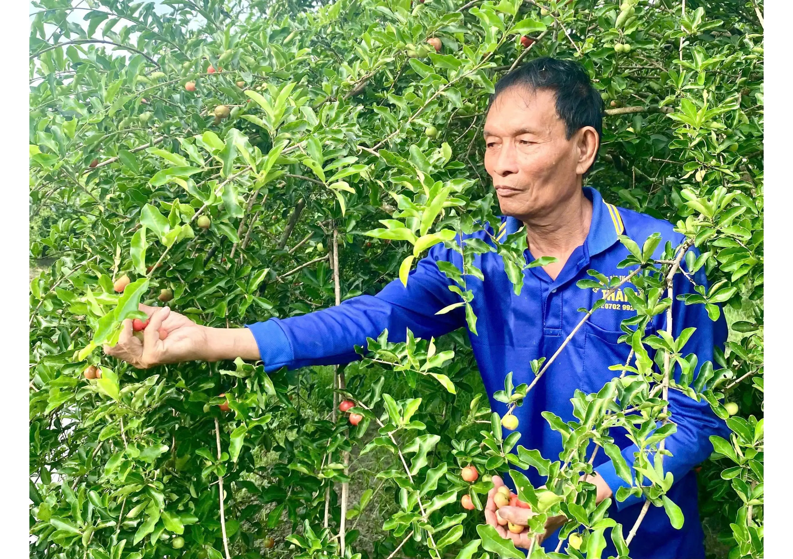Cựu chiến binh làm kinh tế giỏi