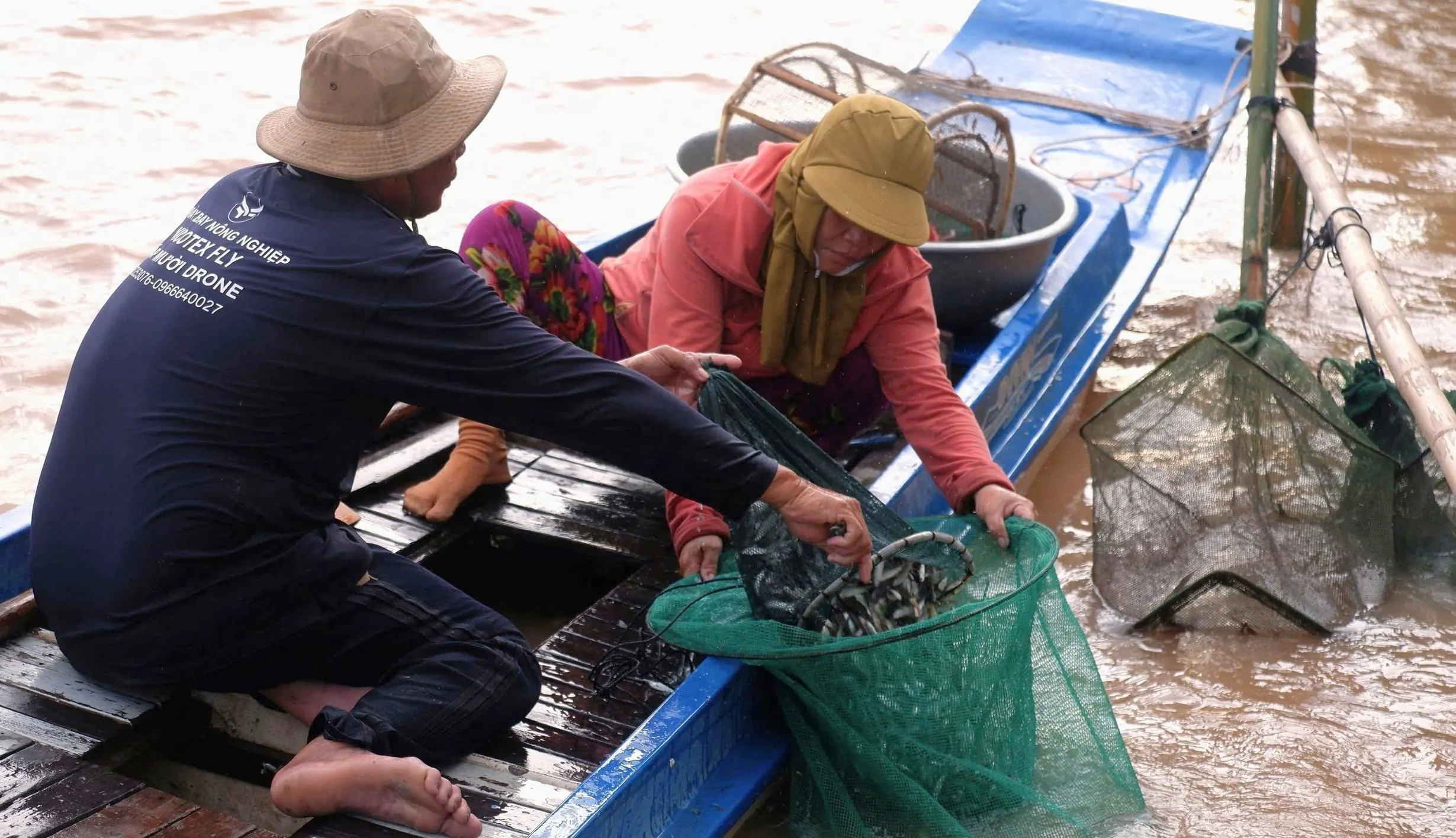 Rộn ràng mùa cá linh non nơi đầu nguồn châu thổ Cửu Long