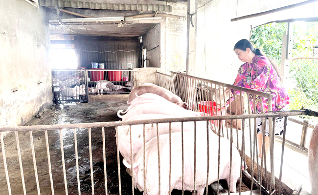 ឈានឡើងលំនឹងជីវភាព អាស្រ័យប្រភពទុនពីធនា គារគោលនយោបាយសង្គម