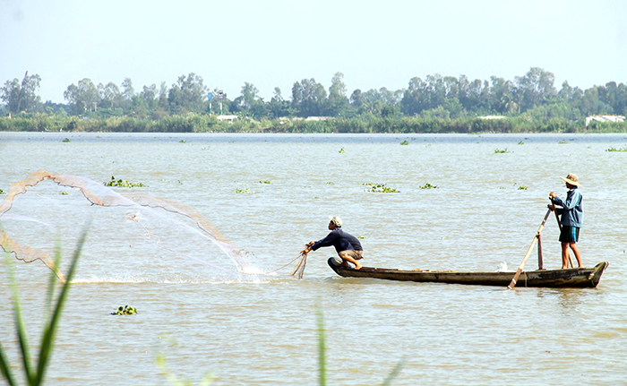 Chuyện xưa ở Đồng Tháp Mười