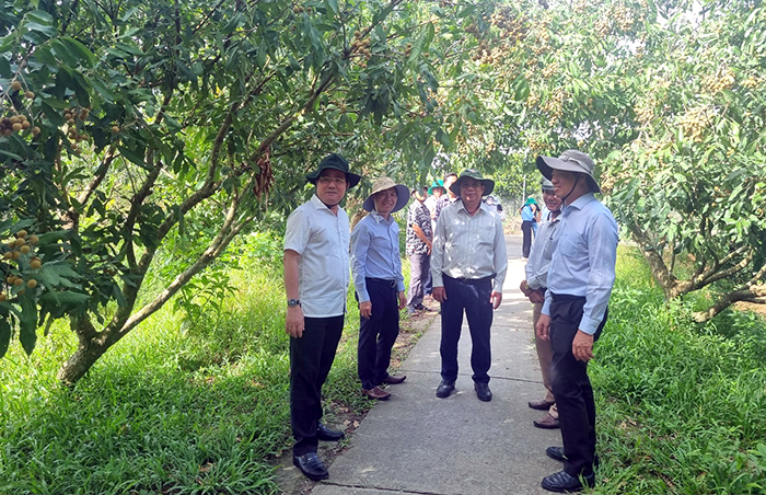 Du lịch sinh thái miệt vườn cần có điểm mới, đặc trưng riêng