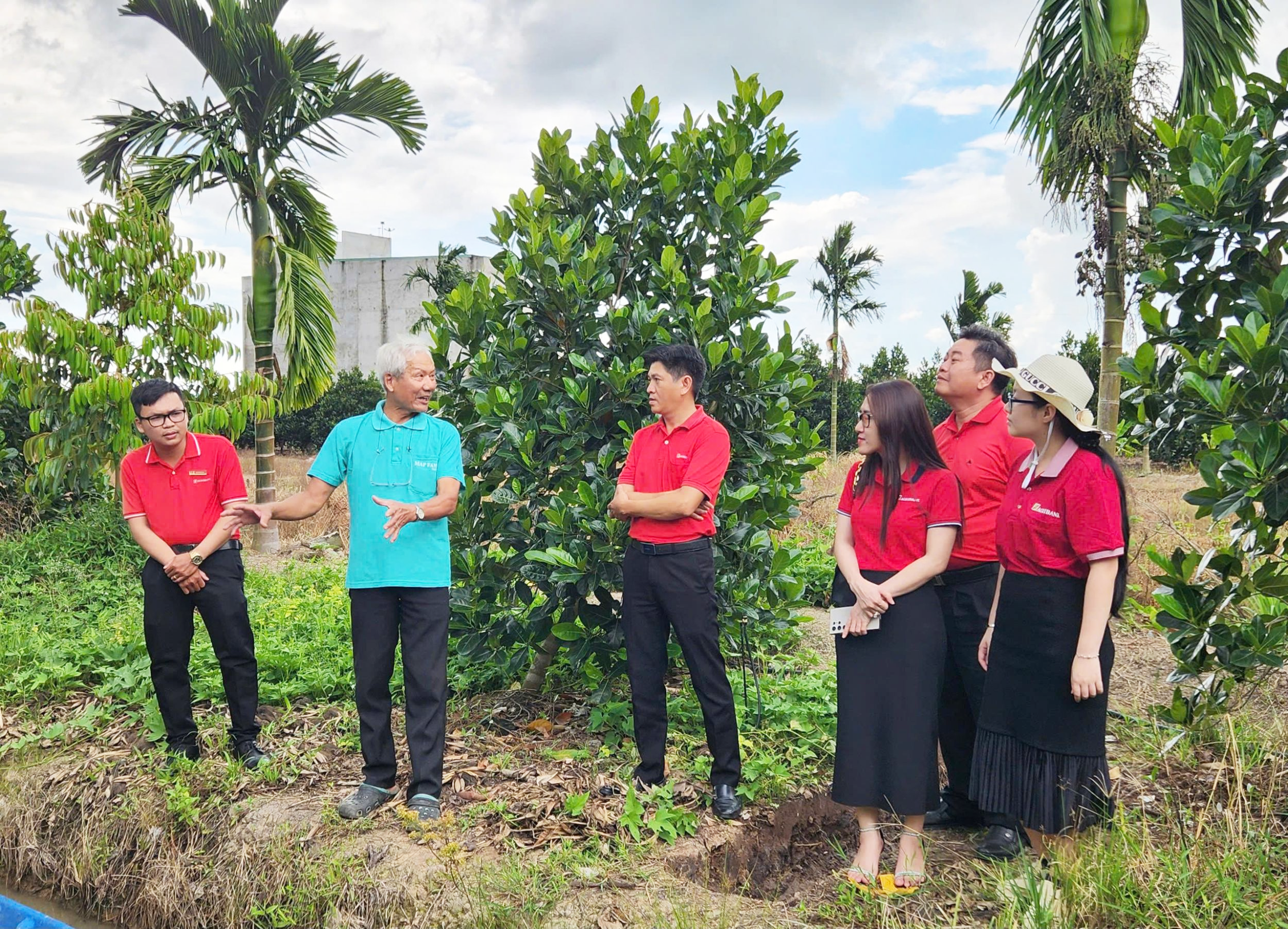 Agribank Chi nhánh Vĩnh Long hỗ trợ nông dân chuyển đổi, phát triển nông nghiệp bền vững