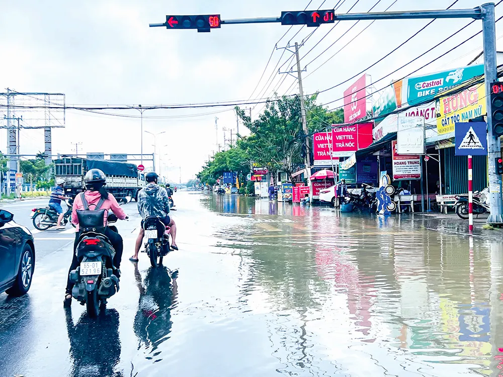 Chi hỗ trợ cá nhân, tổ chức cung cấp thông tin phản ánh hành vi vi phạm hành chính về trật tự, an toàn giao thông