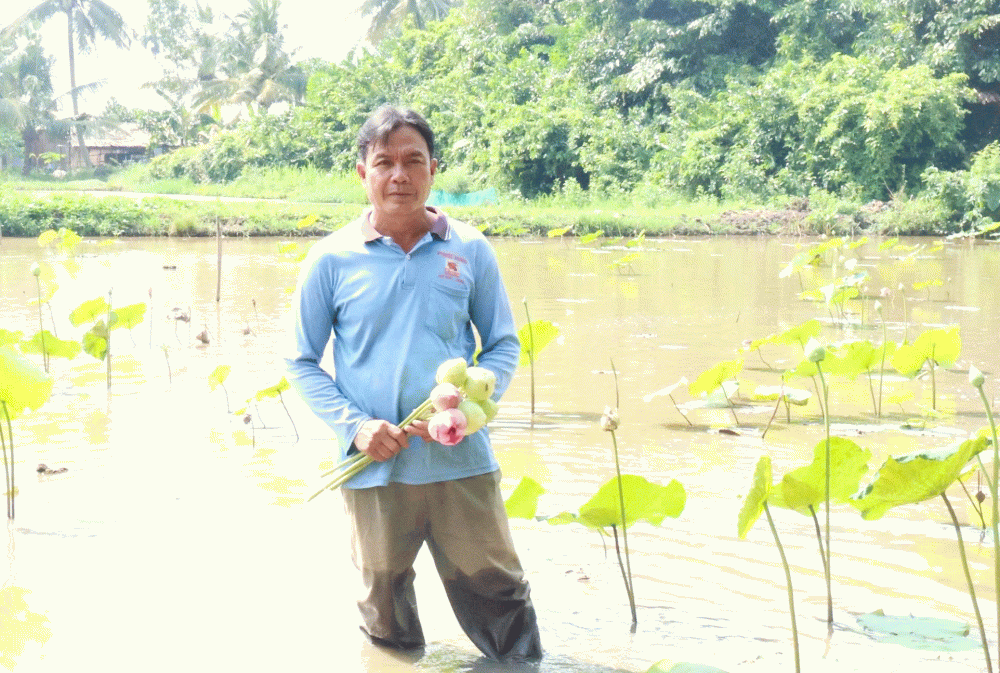 ទម្រង់អភិវឌ្ឍសេដ្ឋកិច្ចរបស់មាមីងជនជាតិភាគតិច