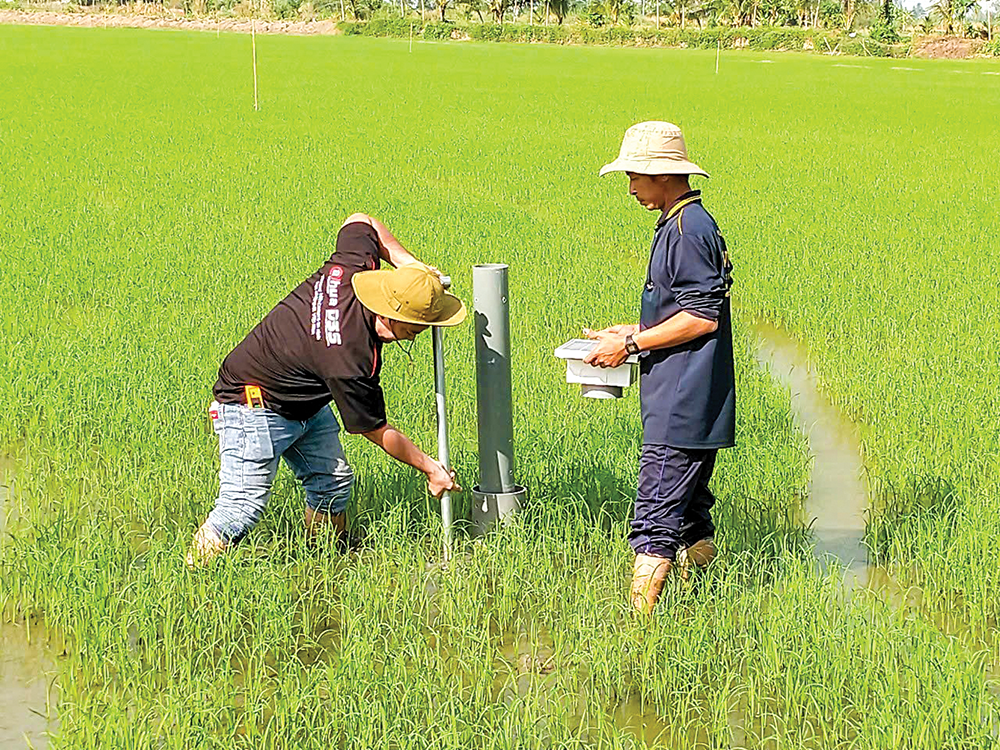 Chuyển đổi cơ cấu cây trồng, phát triển nông nghiệp bền vững