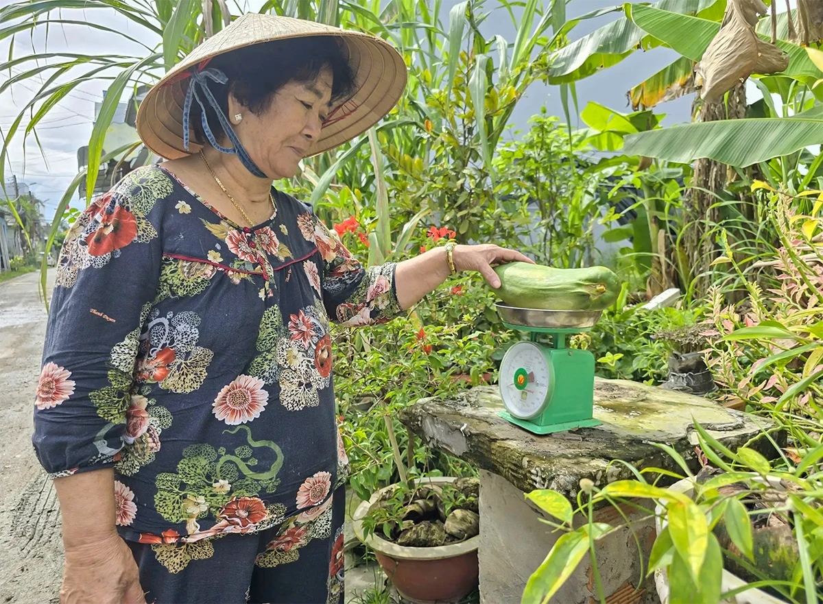 Chuyện cân, đong, đo, đếm và nét văn hóa chợ ĐBSCL