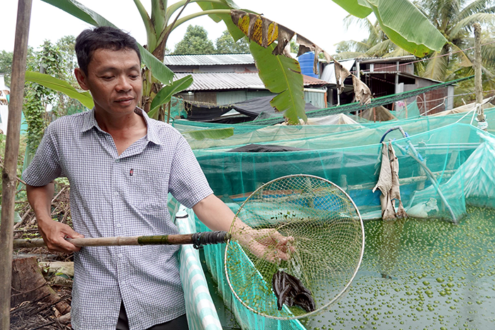 Khởi nghiệp làm giàu từ 2 ký cá dầy