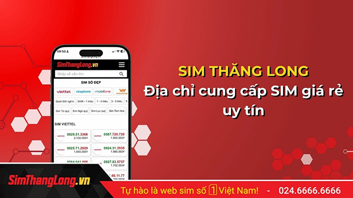 Top 4 loại sim số đẹp giá rẻ, phù hợp cho học sinh, sinh viên