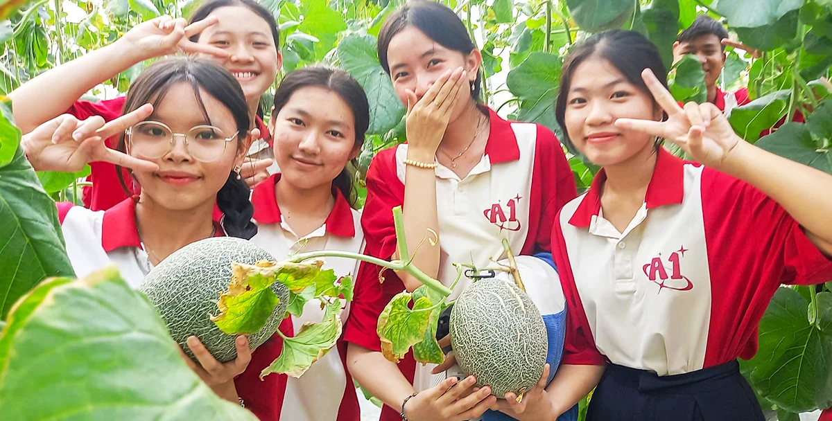Trồng dưa lưới chất lượng cao bằng mô hình thủy canh tuần hoàn nước