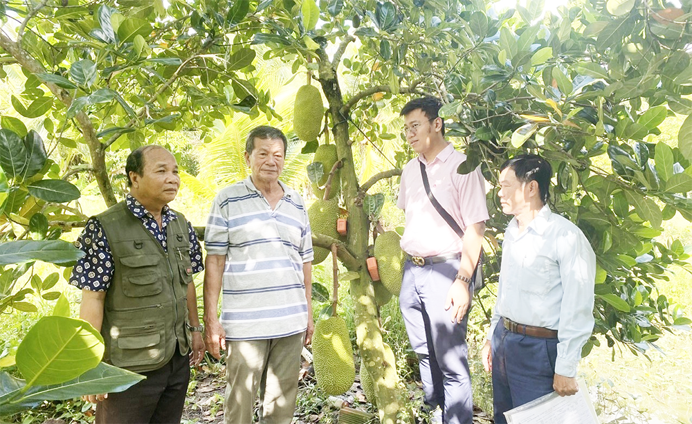 Phát huy hiệu quả nguồn vốn tín dụng chính sách
