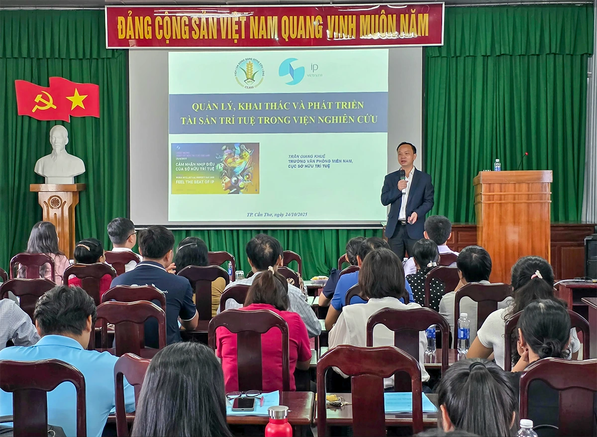 Nâng cao nhận thức về bảo hộ và thực thi quyền sở hữu trí tuệ đối với giống lúa OM