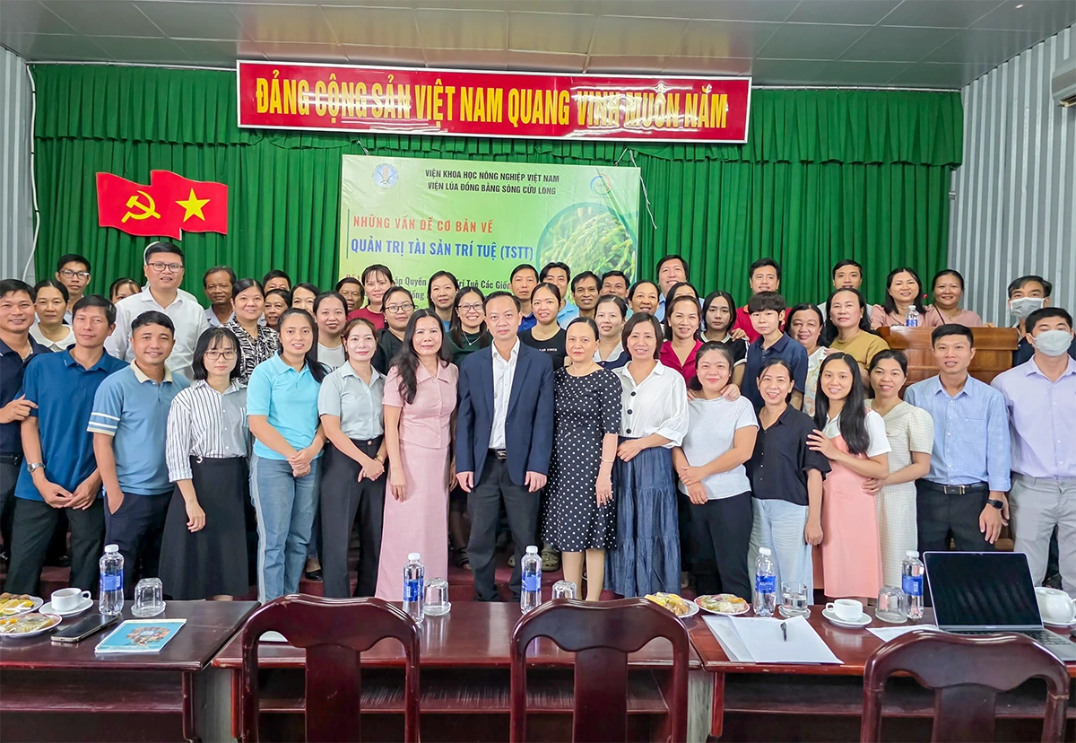 Nâng cao nhận thức về bảo hộ và thực thi quyền sở hữu trí tuệ đối với giống lúa OM