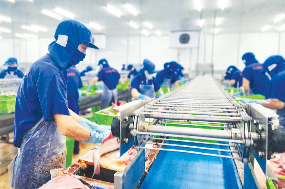 Doanh nghiệp Cần Thơ nỗ lực đóng góp vào tăng trưởng chung