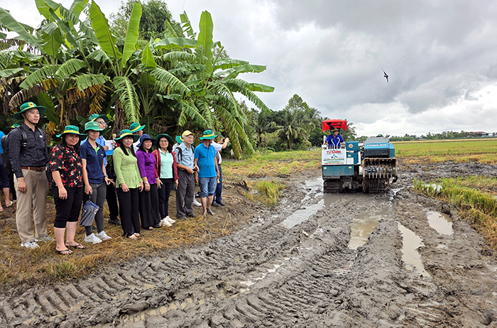 Trình diễn cơ giới hóa vùi rơm kết hợp áp dụng chế phẩm sinh học tăng sức khỏe đất