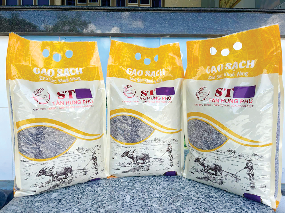 Hiệu quả liên kết trồng lúa tím xanh