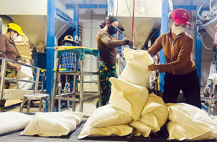 Hỗ trợ doanh nghiệp tham gia thực hiện hợp đồng xuất khẩu gạo sang Senegal