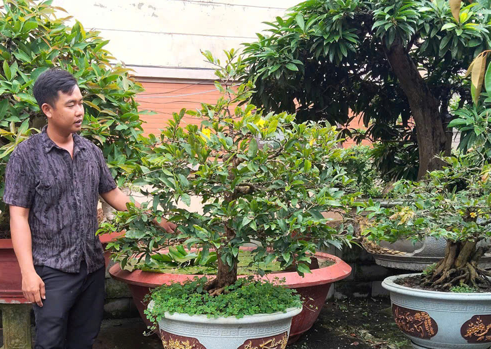 Khởi nghiệp từ niềm đam mê mai vàng