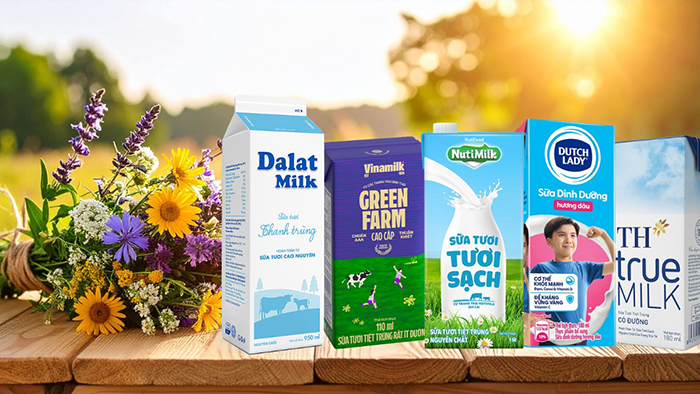 Top 10 sữa tươi tiệt trùng được ưa chuộng