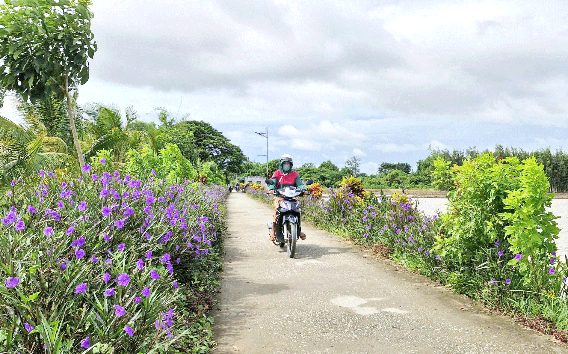 ចំណុចលេចធ្លោក្នុងការកសាងជនបទថ្មី នៅឃុំអាងនិញ