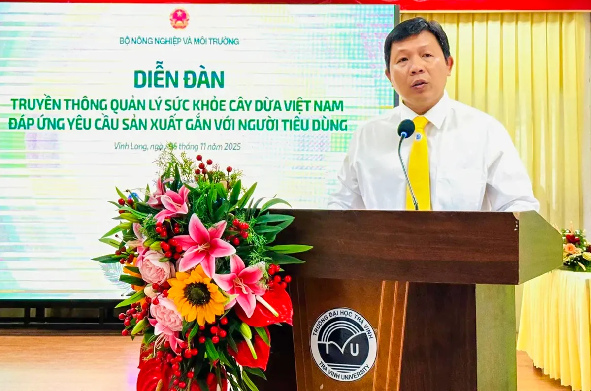 Quản lý sức khỏe cây dừa, nâng cao chất lượng sản xuất, đáp ứng nhu cầu thị trường