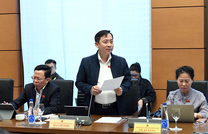 Đại biểu Quốc hội đơn vị TP Cần Thơ đóng góp nhiều ý kiến về quy hoạch phát triển thành phố, vùng và quốc gia